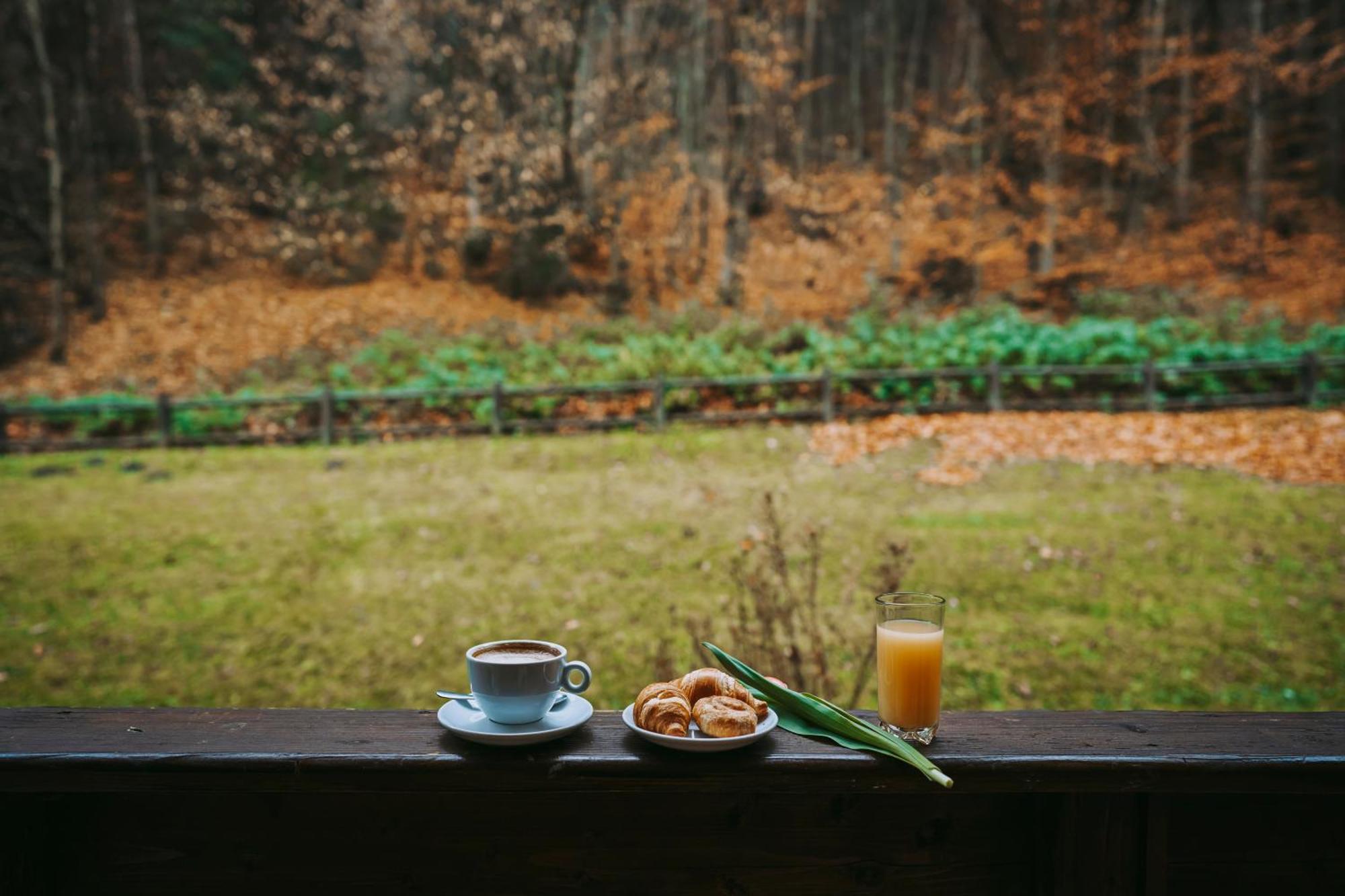 Hotel & Restaurant Sofia 苏恰维塔 外观 照片